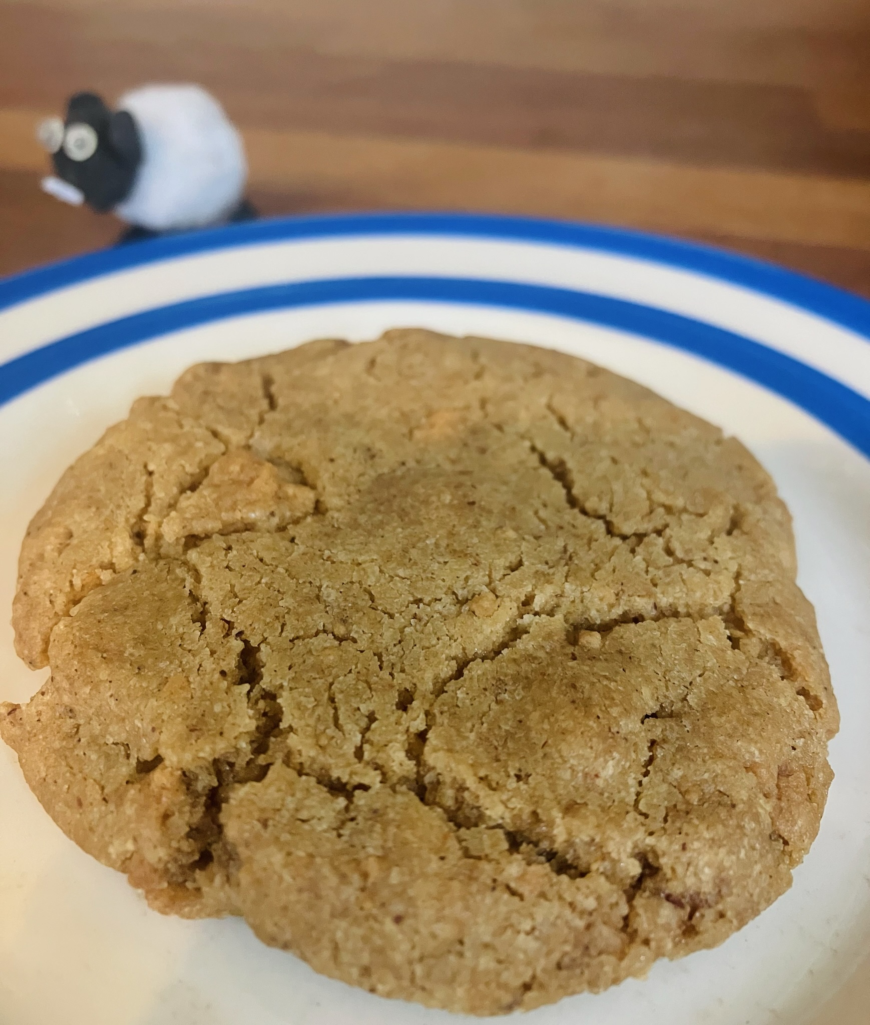 Northumberland spiced cookies with crunchy caramel chunks